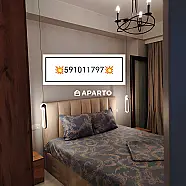 30 ლარი ღამე, ბინა დღიურად