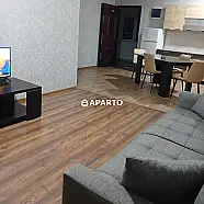 50 ლარი ღამე, ბინა დღიურად