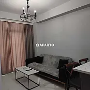 30 ლარი ღამე, ბინა დღიურად