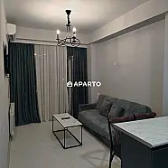 30 ლარი ღამე, ბინა დღიურად