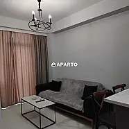 30 ლარი ღამე, ბინა დღიურად