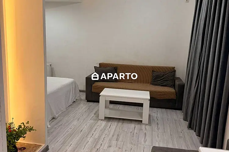 80 ლარი ღამე, ბინა დღიურად