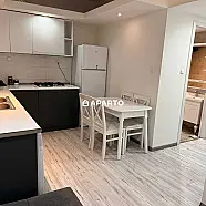 70 ლარი ღამე, ბინა დღიურად