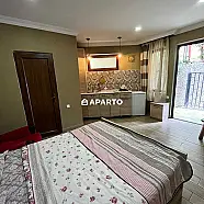 70 ლარი ღამე, ბინა დღიურად