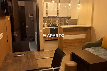 50 ლარი ღამე, ბინა დღიურად