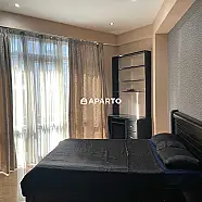 100 ლარი ღამე, ბინა დღიურად
