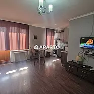 80 ლარი ღამე, ბინა დღიურად