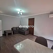 80 ლარი ღამე, ბინა დღიურად