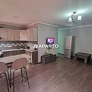 80 ლარი ღამე, ბინა დღიურად