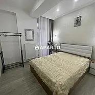 210 ლარი ღამე, ბინა დღიურად