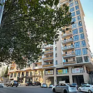 210 ლარი ღამე, ბინა დღიურად