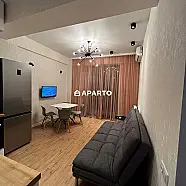 100 ლარი ღამე, ბინა დღიურად