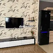 100 ლარი ღამე, ბინა დღიურად
