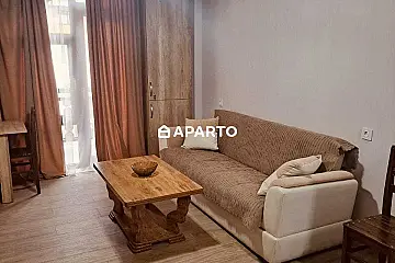 70 ლარი ღამე, ბინა დღიურად