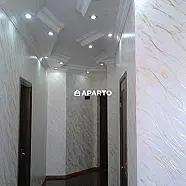 100 ლარი ღამე, ბინა დღიურად