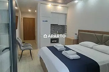 50 ლარი ღამე, ბინა დღიურად