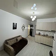100 ლარი ღამე, ბინა დღიურად