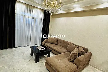 220 ლარი ღამე, ბინა დღიურად