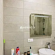 220 ლარი ღამე, ბინა დღიურად