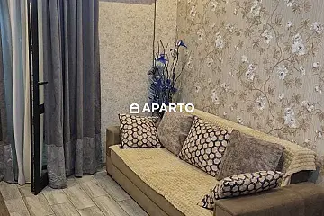 90 ლარი ღამე, ბინა დღიურად