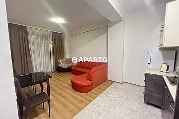 70 ლარი ღამე, ბინა დღიურად