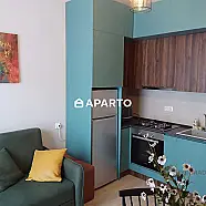 200 ლარი ღამე, ბინა დღიურად