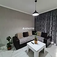 60 ლარი ღამე, ბინა დღიურად