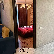 90 ლარი ღამე, ბინა დღიურად