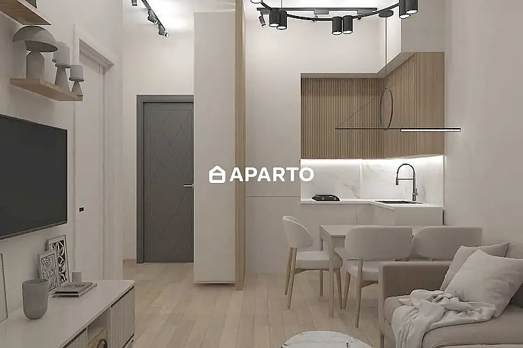 50 ლარი ღამე, ბინა დღიურად