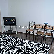 35 ლარი ღამე, ბინა დღიურად
