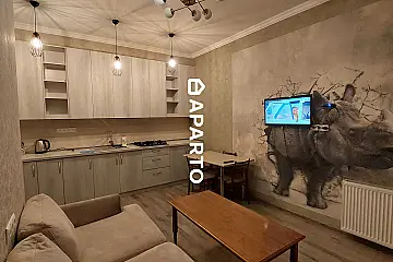 90 ლარი ღამე, ბინა დღიურად