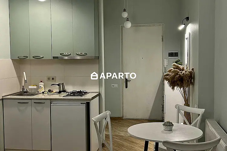 80 ლარი ღამე, ბინა დღიურად