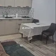 90 ლარი ღამე, ბინა დღიურად
