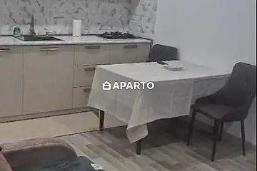 90 ლარი ღამე, ბინა დღიურად