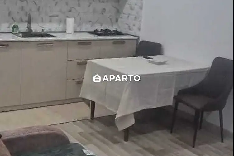 90 ლარი ღამე, ბინა დღიურად