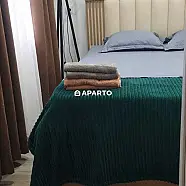 90 ლარი ღამე, ბინა დღიურად