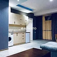 250 ლარი ღამე, ბინა დღიურად