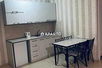 200 ლარი ღამე, ბინა დღიურად