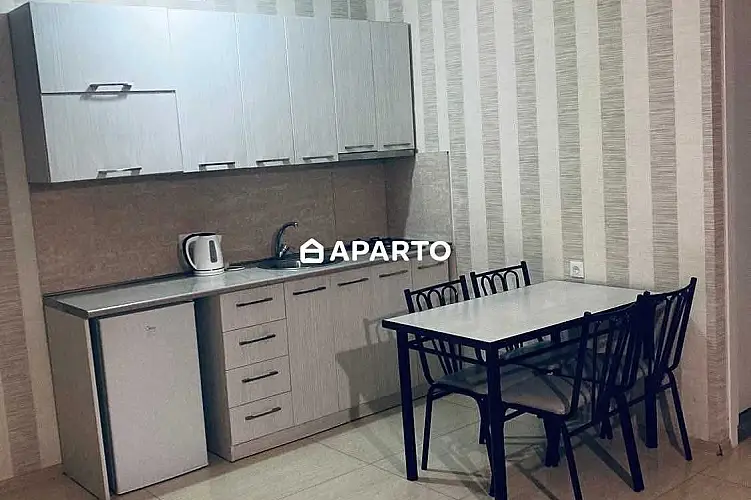 200 ლარი ღამე, ბინა დღიურად