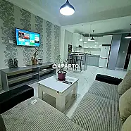 60 ლარი ღამე, ბინა დღიურად