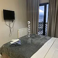 100 ლარი ღამე, ბინა დღიურად