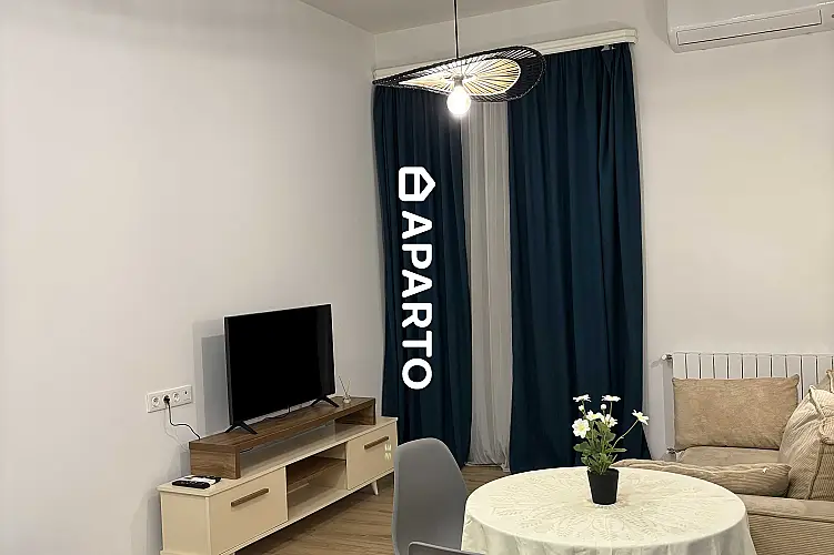 130 ლარი ღამე, ბინა დღიურად