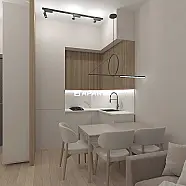 50 ლარი ღამე, ბინა დღიურად
