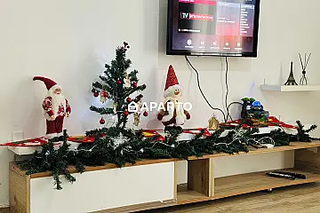 80 ლარი ღამე, ბინა დღიურად