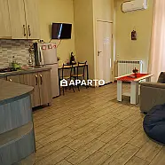 70 ლარი ღამე, ბინა დღიურად