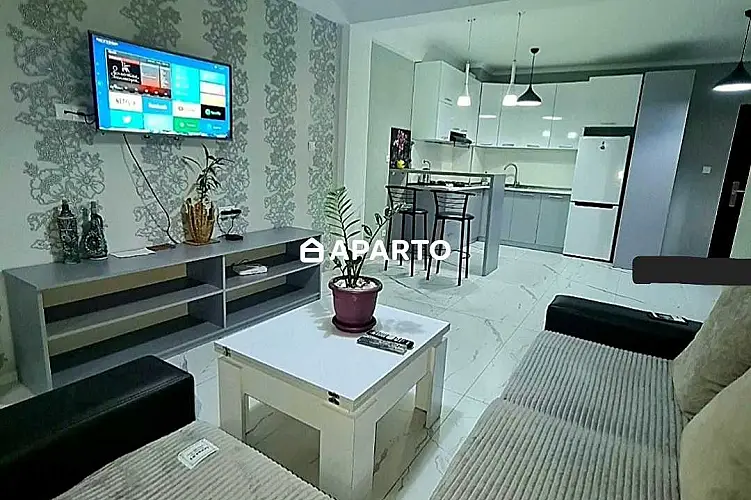 60 ლარი ღამე, ბინა დღიურად
