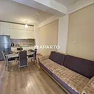 80 ლარი ღამე, ბინა დღიურად