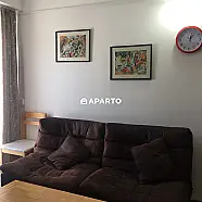 100 ლარი ღამე, ბინა დღიურად