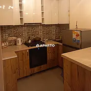 50 ლარი ღამე, ბინა დღიურად