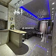 70 ლარი ღამე, ბინა დღიურად
